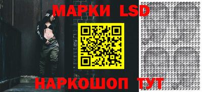 стафф Бийск