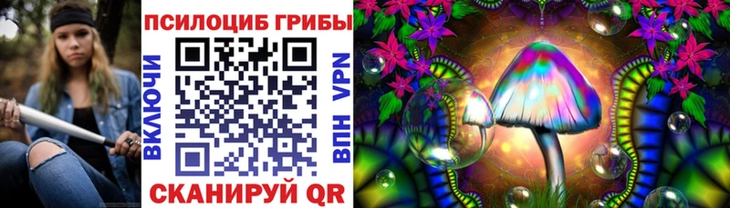 блэк спрут ССЫЛКА  что такое наркотик  Донецк  Псилоцибиновые грибы Psilocybine cubensis 