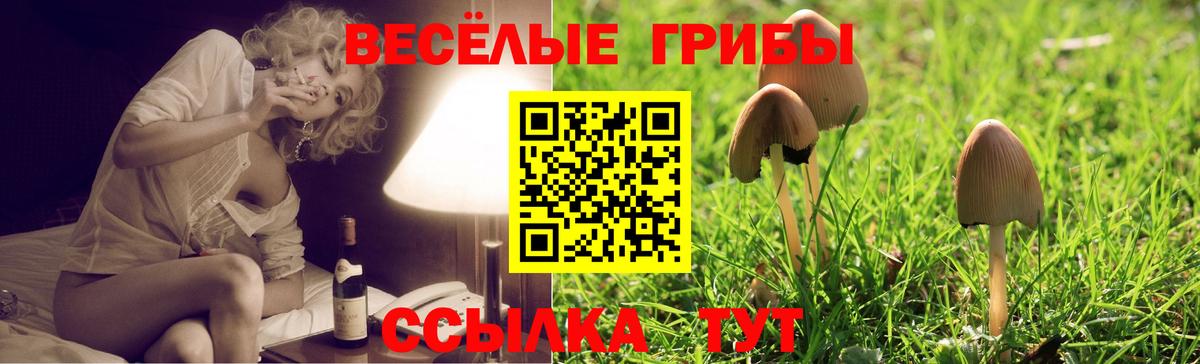 Донецк  Псилоцибиновые грибы ЛСД  Вход с VPN 