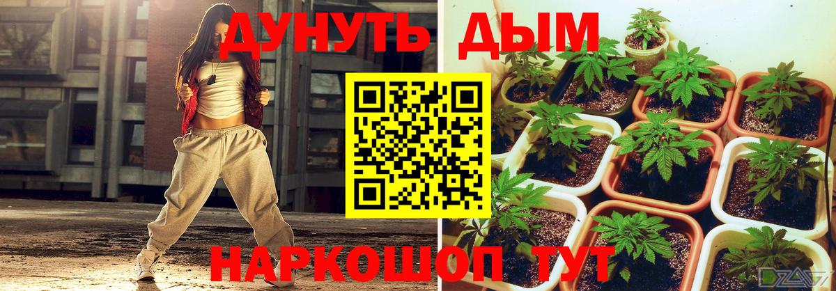 Марихуана сатива  Конопля ГИДРОПОН  Шишки марихуана LSD WEED  Вход с VPN  Донецк  Канабис планчик 